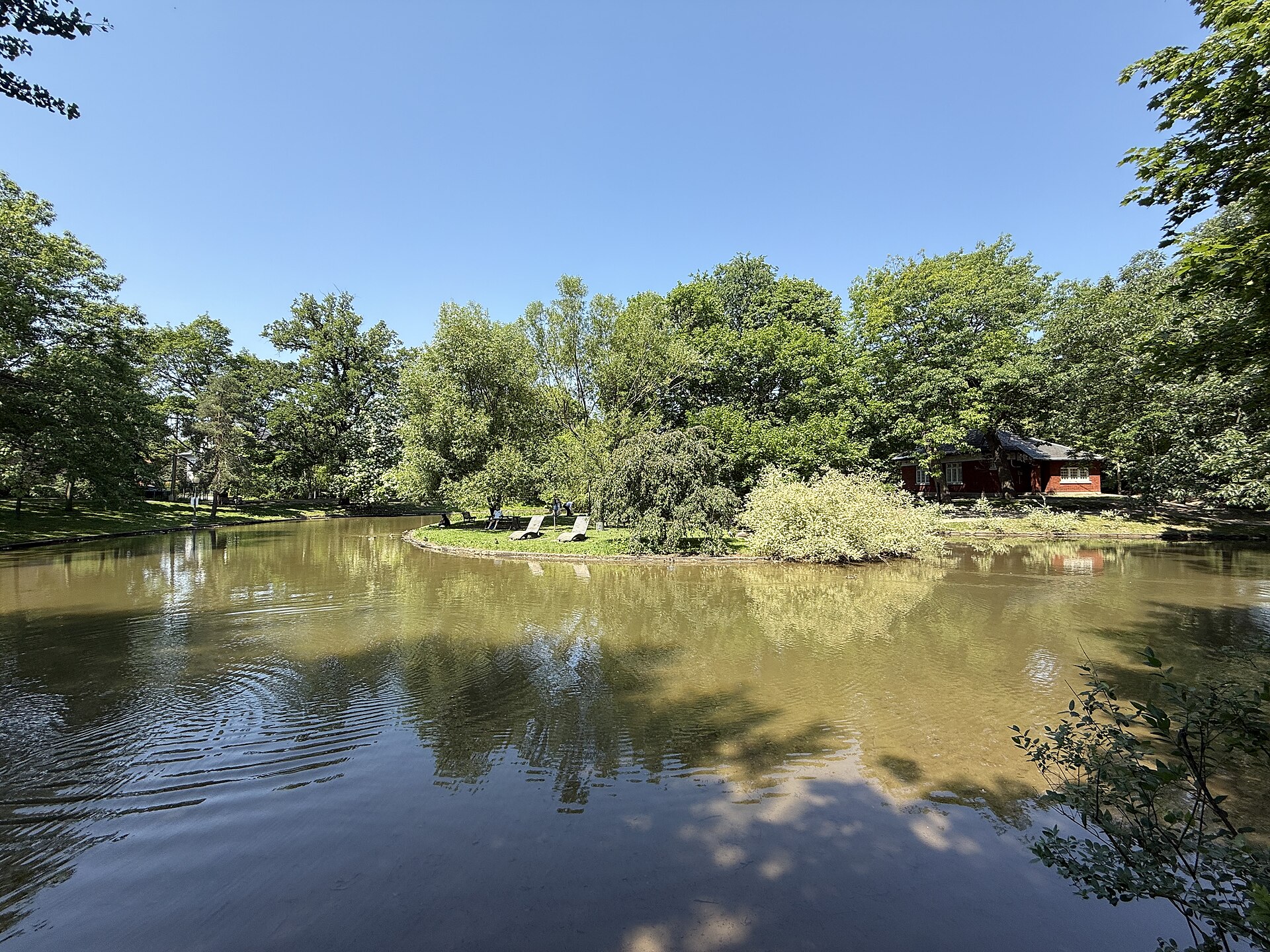 The pond at Westmount Park · 2026